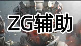 SJZ  ZG 辅助